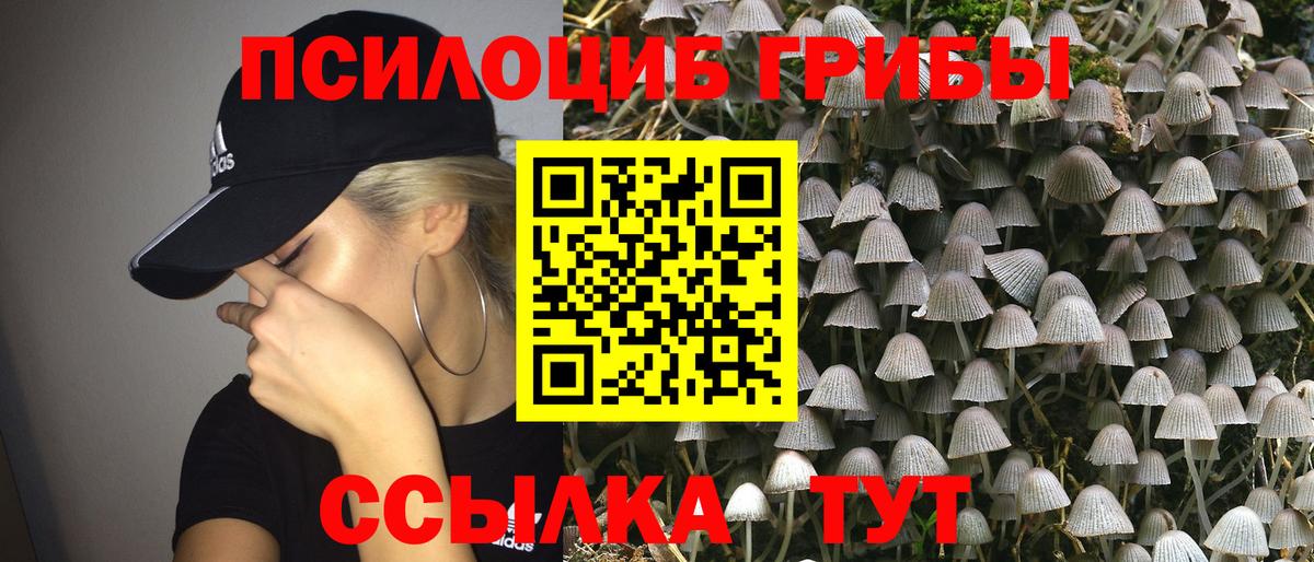 Псилоцибиновые грибы Magic Shrooms  Вход с VPN  Гулькевичи 